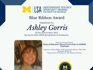 2021 UROP Spring Symposium Blue Ribbon IG 1 